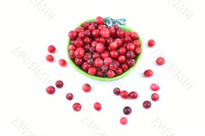 cranberries