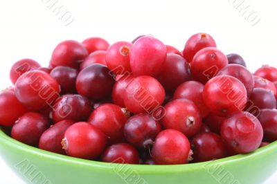 cranberries