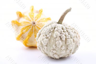 pumpkins