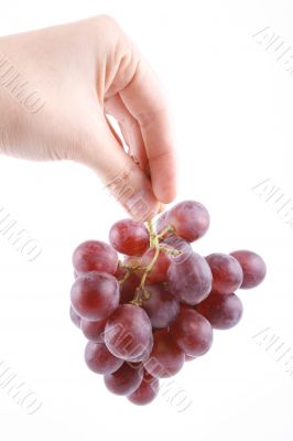 grapes