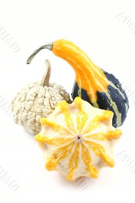 pumpkins
