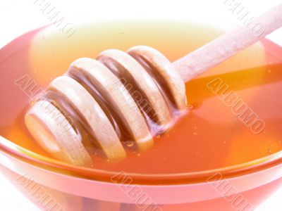 bowl of honey isolated