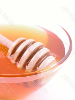 bowl of honey isolated