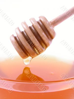 bowl of honey isolated