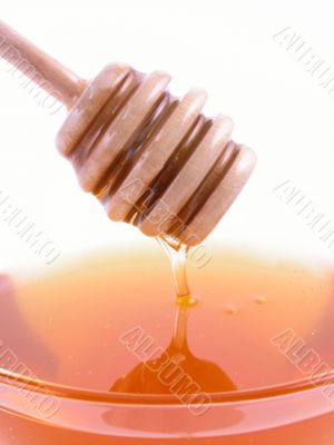 bowl of honey isolated