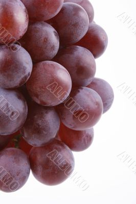 grapes