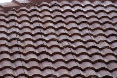 Tile Roof