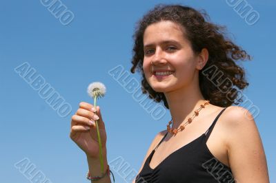 Dandelion 2