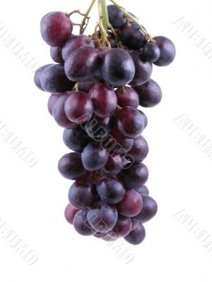 grapes