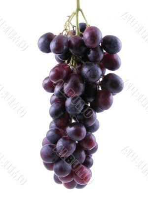 grapes