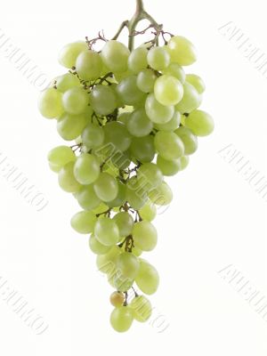 grapes