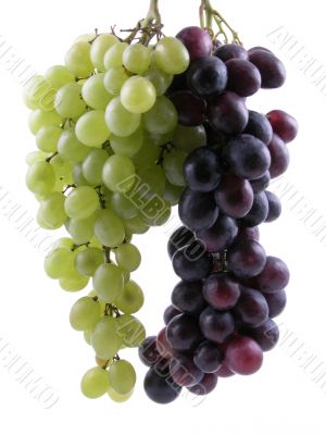 grapes