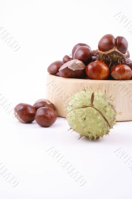chestnuts