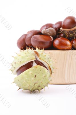 chestnuts
