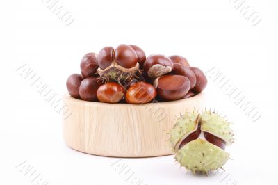 chestnuts