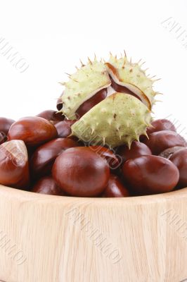 chestnuts