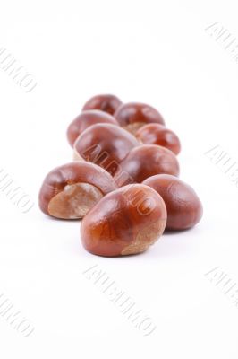 chestnuts