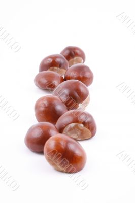 chestnuts