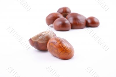 chestnuts