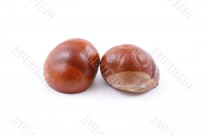 chestnuts