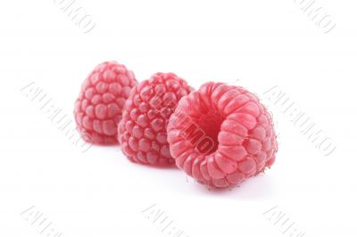 raspberries
