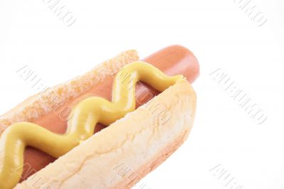 hot dog