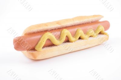 hot dog