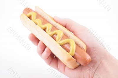 hot dog