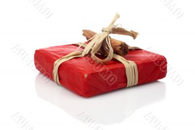 Red gift