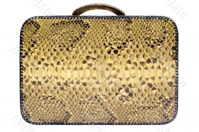 Snakeskin Bag w/ Path - Side View