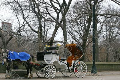 Horse and Carriage