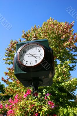 Clock with Flowers