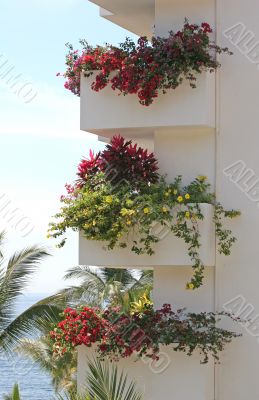 Flowers on veranda