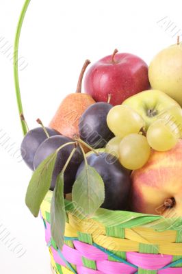 fruits