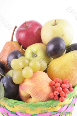 fruits