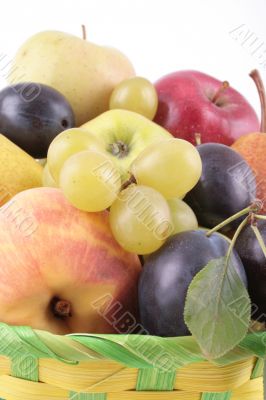 fruits