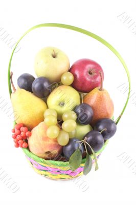 fruits