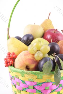 fruits