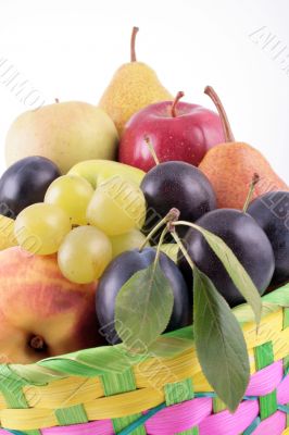 fruits