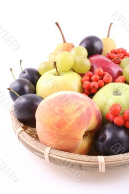 fruits