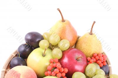 fruits