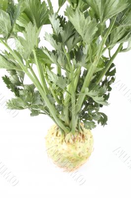 celery