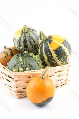 pumpkins