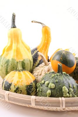 pumpkins