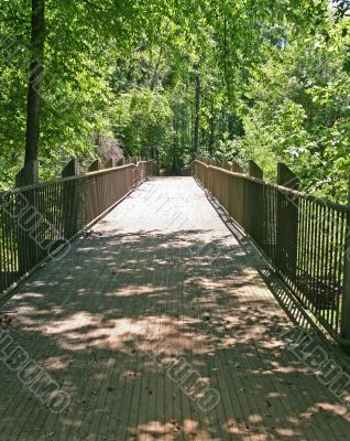 Woodland Bridge