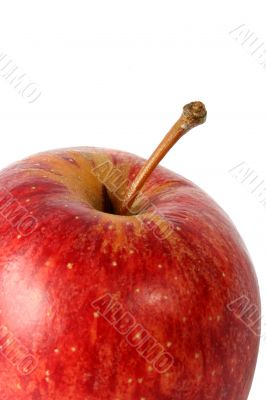 apple close up on top