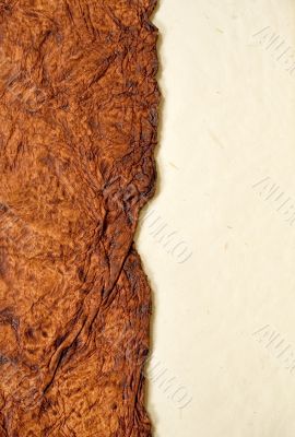 organic background - wood and paper