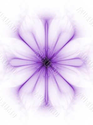 Subtle Petals