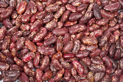 Background of raw beans