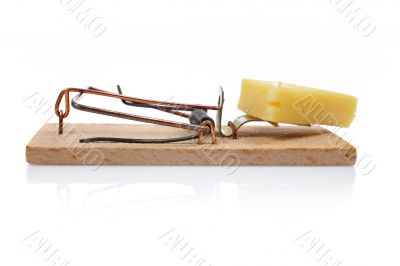 Mousetrap with cheese